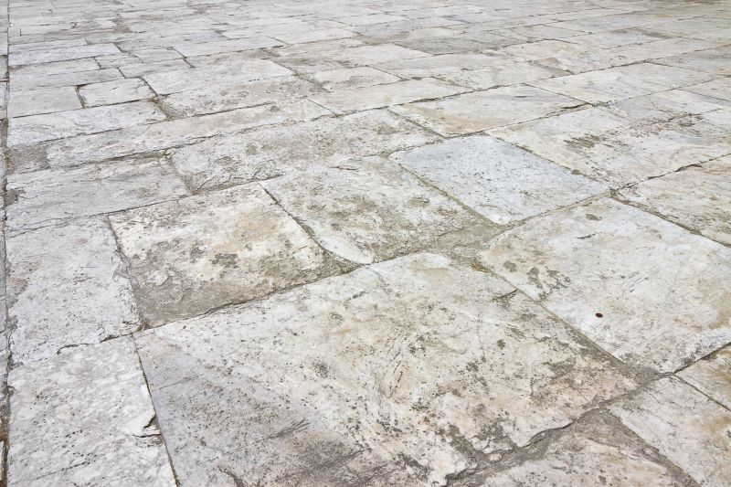 Natural Stone Paver Surface