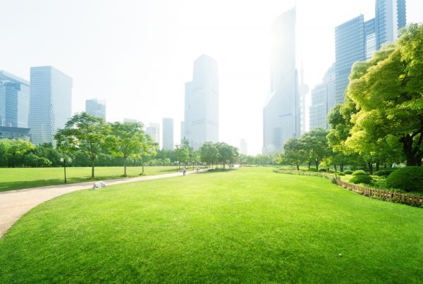 Commercial Landscape Maintenance in Chesterfield
