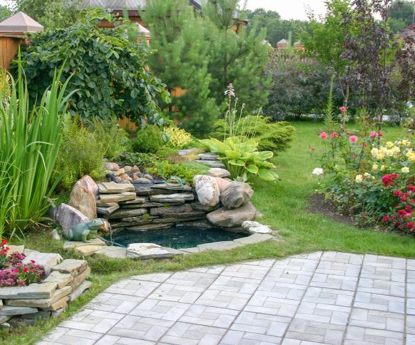 Yard Renovation in Chesterfield