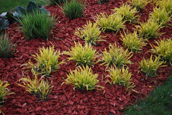 Mulch Landscaping in Chesterfield