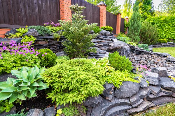 Landscape Remodeling in Chesterfield