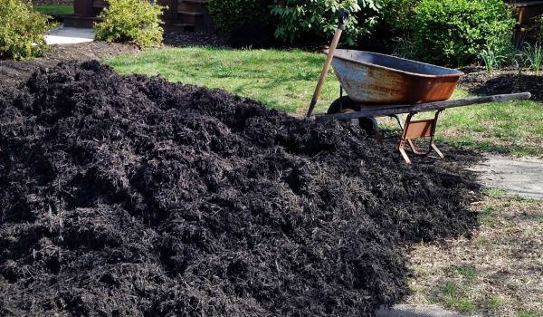 Black Mulch Installation in Chesterfield