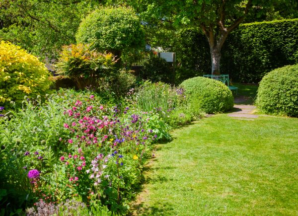 Yard Landscaping Service in Chesterfield