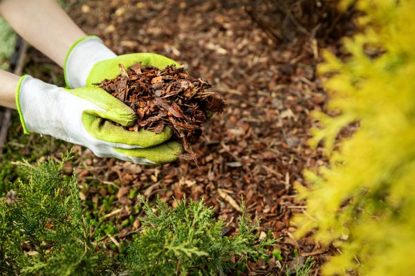 Garden Mulch Delivery in Chesterfield
