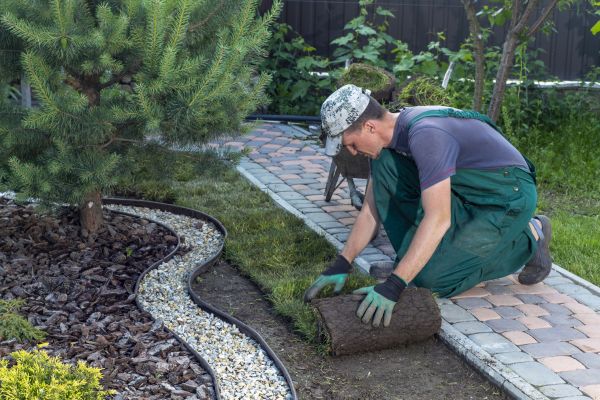 Landscaping Modification in Chesterfield