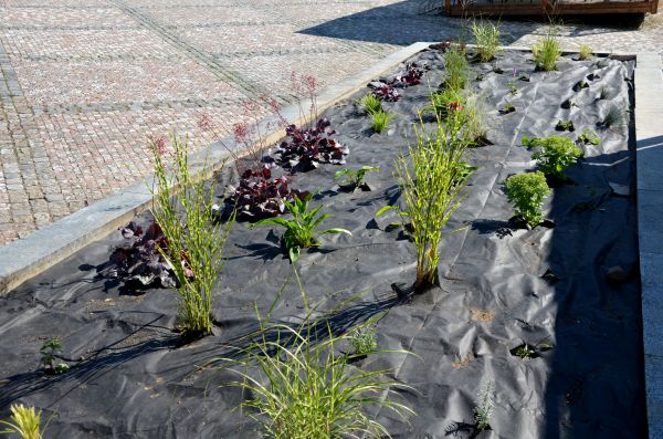Landscape Fabric Installation in Chesterfield