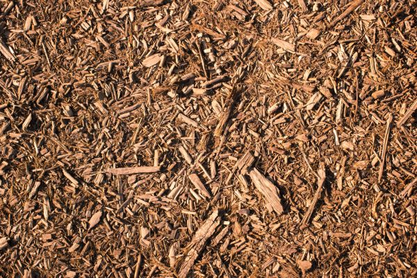 Wood Chips Removal in Chesterfield