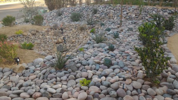 Yard Xeriscaping in Chesterfield