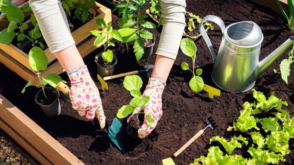Garden Bed Installation in Chesterfield