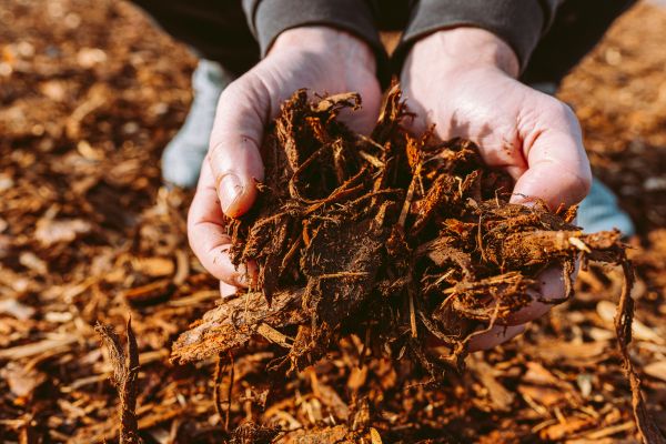 Bark Chips Delivery in Chesterfield