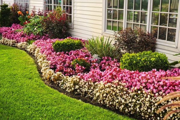 House Landscaping in Chesterfield
