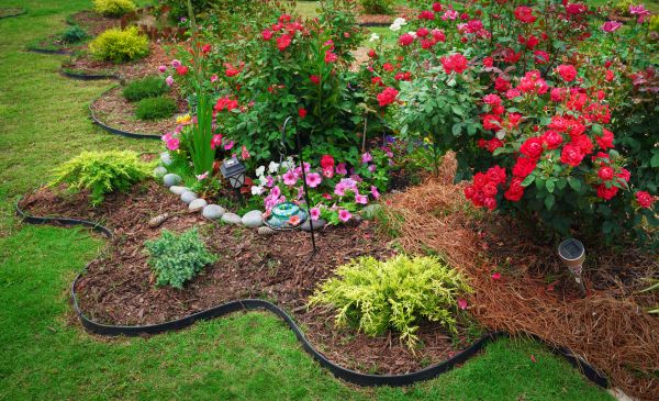 Floral Landscaping in Chesterfield