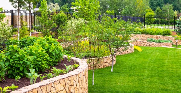 Yard Makeover Service in Chesterfield