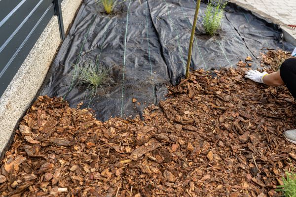 Pine Bark Spreading in Chesterfield