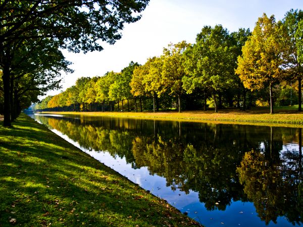 Bank Landscaping in Chesterfield