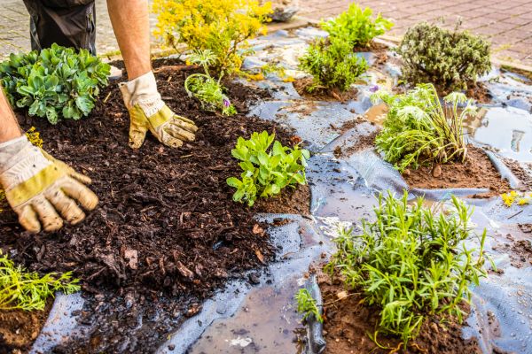 Mulch Fabric Installation in Chesterfield