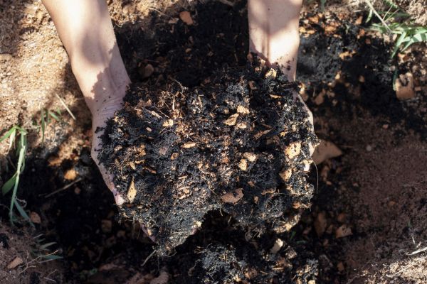 Organic Mulch Installation in Chesterfield