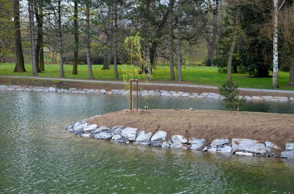 Pond Landscaping Service in Chesterfield