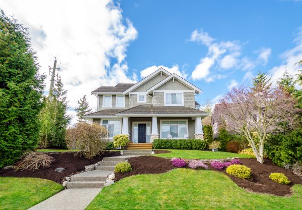 Landscaping Replacement in Chesterfield
