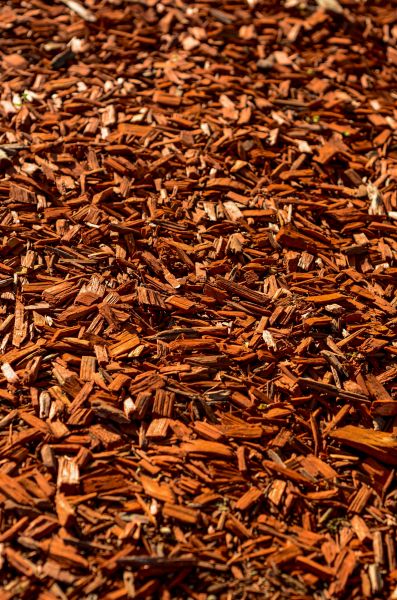 Cedar Mulch Spreading in Chesterfield