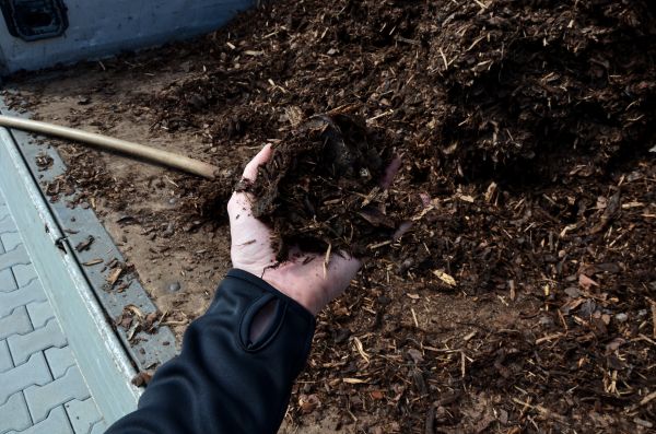 Condo Mulching in Chesterfield