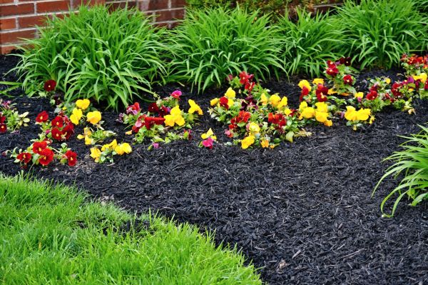 Apartment Mulching in Chesterfield