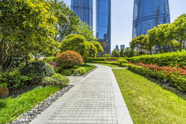 Commercial Landscaping in Chesterfield